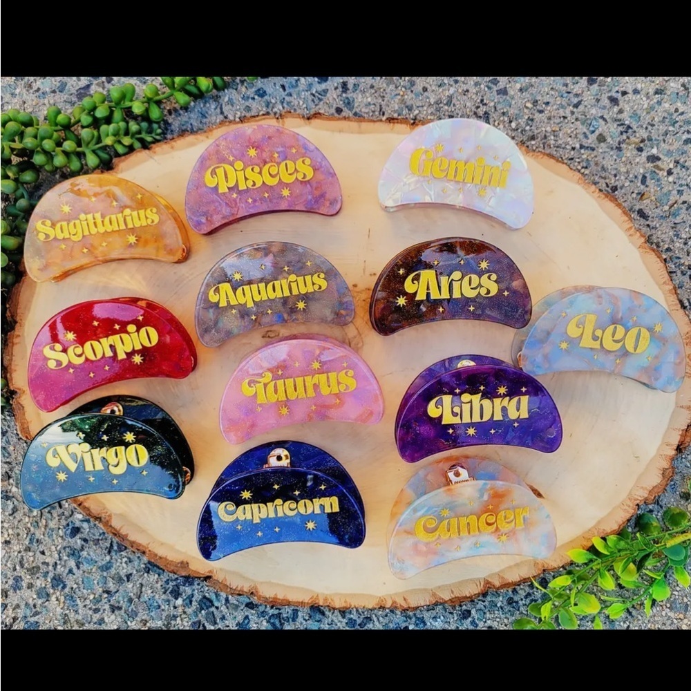 Zodiac Hair Clips